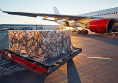 Notes for Special Cargo Transport By Air