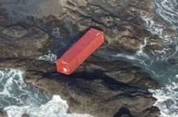 Zim Kingston containers wash ashore, 300km from fire-stricken ship