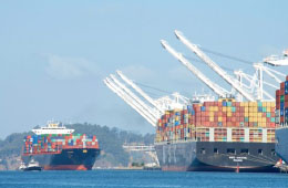 US Senate agrees reform to Shipping Act as more shipper complaints hit lines