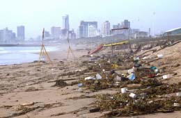 Worst floods in half a century claim 60 lives and close Durban port