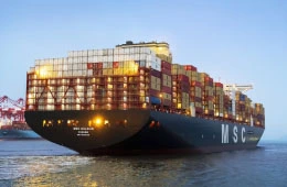 Two Largest Container Ships Intended for MSC Were Launched from Chinese Shipyards