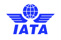 IATA City Codes of the USA - What Does IATA City Code Mean?