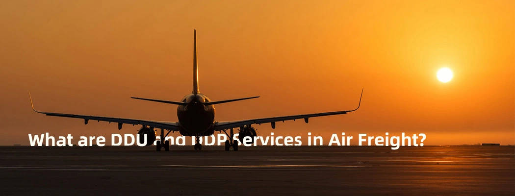 What are DDU and DDP Services in Air Freight?